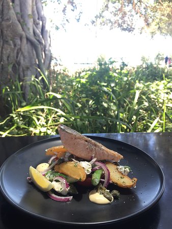 Bongaree QLD Sunshine Coast Tourism