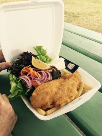 Tin Can Bay QLD Sunshine Coast Tourism