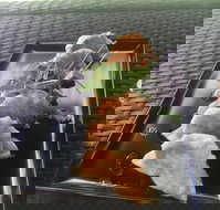 Three Black Sheep Cafe - Sunshine Coast Tourism