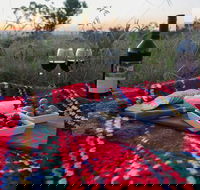 Bunnyconnellen Olive Grove  Vineyard - Holiday Sunshine Coast