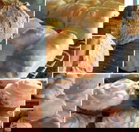 Elegant Emu - Sunshine Coast Tourism