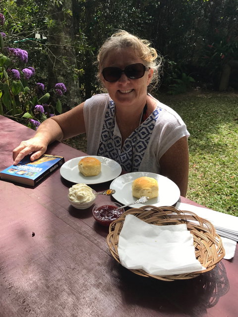 Ivy Cottage - Holiday Sunshine Coast 5