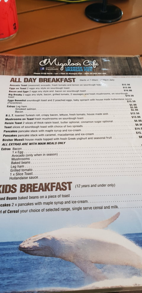 Migaloo's Cafe - Sunshine Coast Tourism 3