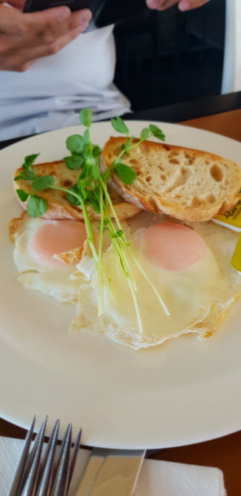 Migaloo's Cafe - Sunshine Coast Tourism 5