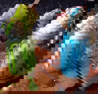 Mondaze - Holiday Sunshine Coast