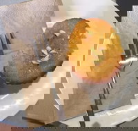 New Leaf Cafe Murwillumbah - Sunshine Coast Tourism