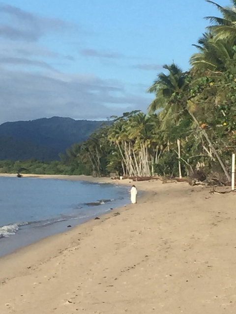 Newell Beach Takeaway And Cafe - Sunshine Coast Tourism 2