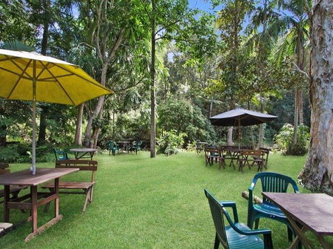 Rainforest - Sunshine Coast Tourism 0