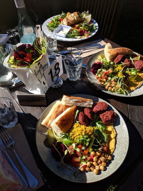 Rainforest - Sunshine Coast Tourism 3