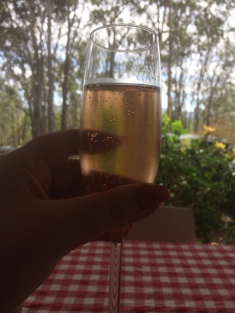 The Shed Cafe - Sunshine Coast Tourism 2
