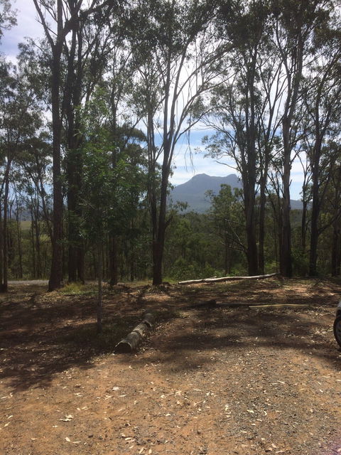The Shed Cafe - Sunshine Coast Tourism 3