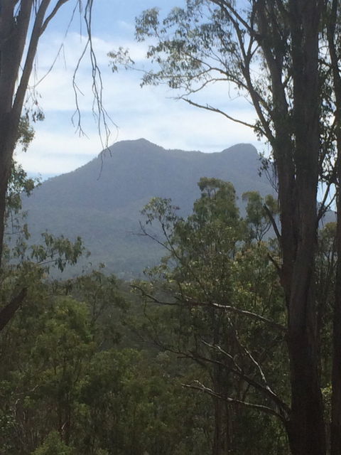 The Shed Cafe - Sunshine Coast Tourism 4
