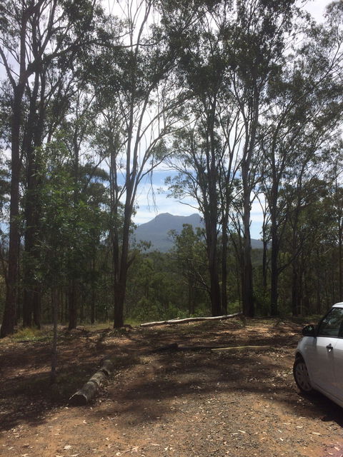 The Shed Cafe - Sunshine Coast Tourism 5