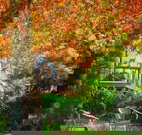 The Woods Ravensbourne - Sunshine Coast Tourism
