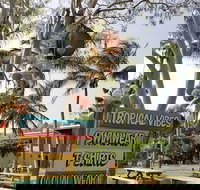 Tropical Vibes - Sunshine Coast Tourism