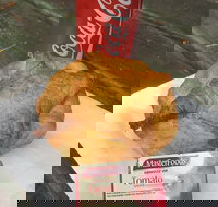 Uki Pies - Sunshine Coast Tourism