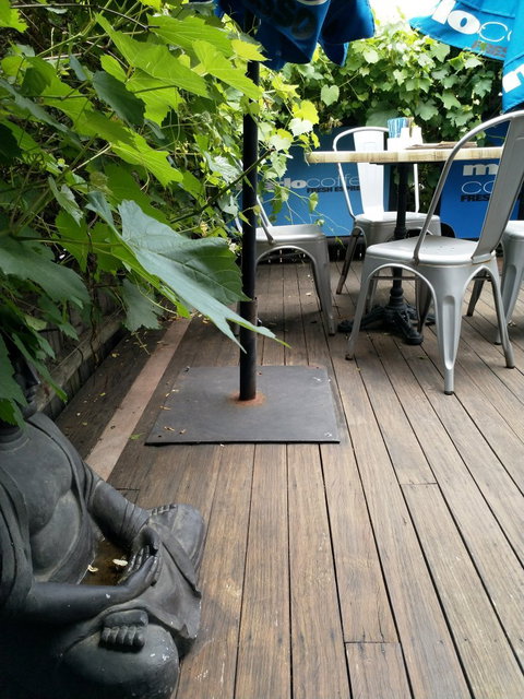 Willow Tree Cafe - Sunshine Coast Tourism 3