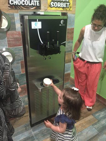 Yogurt World - Holiday Sunshine Coast 0