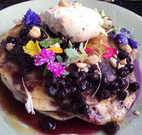 Short Straw - Holiday Sunshine Coast