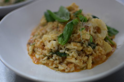 AJ 717 - Sunshine Coast Tourism 0