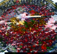Red Chilli Sichuan Burwood - Sunshine Coast Tourism