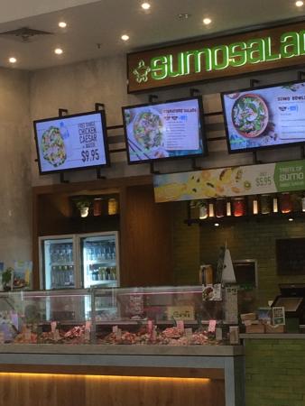 Sumo Salad - Sunshine Coast Tourism 0