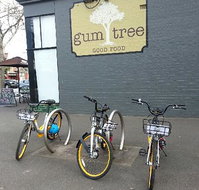 Gum Tree Good Food - Holiday Sunshine Coast