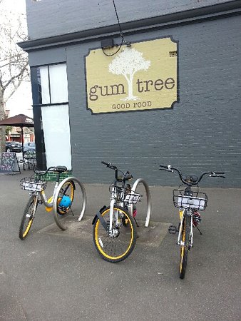 Gum Tree Good Food - Holiday Sunshine Coast 0