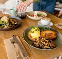 Newfolk - Sunshine Coast Tourism