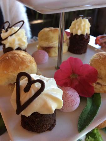 Van Loons Nursery - Holiday Sunshine Coast 0
