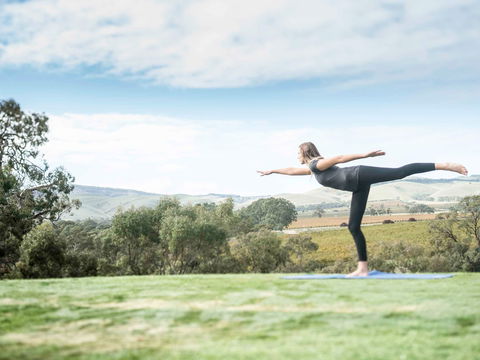 Novotel Barossa Valley Resort - Sunshine Coast Tourism 13