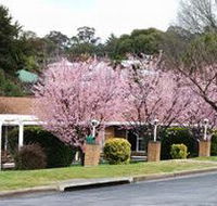 White Lanterns Motel - Holiday Sunshine Coast