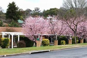 White Lanterns Motel - Holiday Sunshine Coast 0
