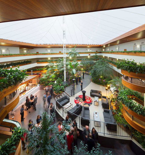 Pavilion On Northbourne - Sunshine Coast Tourism 11