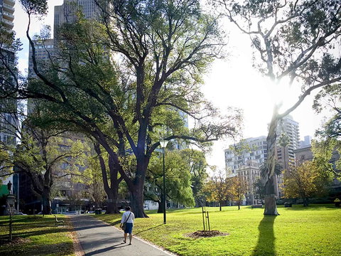 Mercure Melbourne Therry St - Holiday Sunshine Coast 15