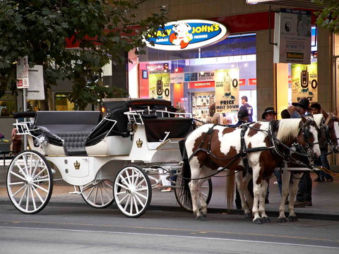 Mercure Melbourne Therry St - Holiday Sunshine Coast 16