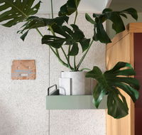 ACE Hotel Sydney - Sunshine Coast Tourism
