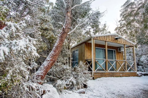 Discovery Parks Cradle Mountain - Sunshine Coast Tourism 2