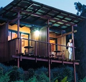 O'Reilly's Rainforest Guesthouse - Sunshine Coast Tourism 1