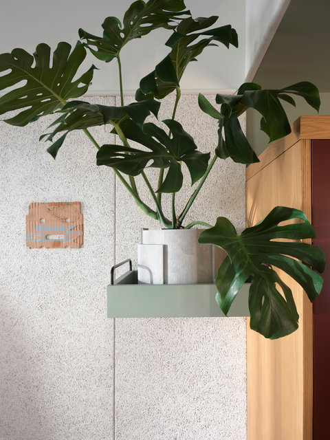 ACE Hotel Sydney - Holiday Sunshine Coast 0