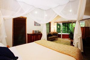Daintree Eco Lodge & Spa - Sunshine Coast Tourism 1