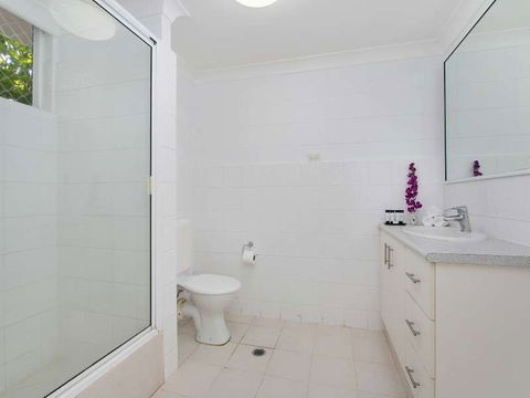 Cairns City Palms - Sunshine Coast Tourism 1
