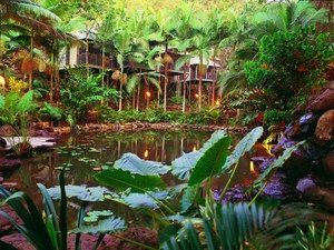 Daintree Eco Lodge & Spa - Sunshine Coast Tourism 0