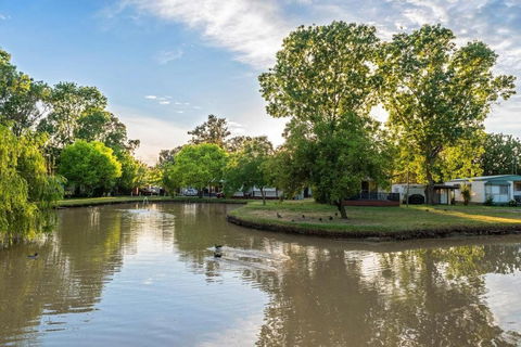 Discovery Parks Moama Maidens - Holiday Sunshine Coast 0