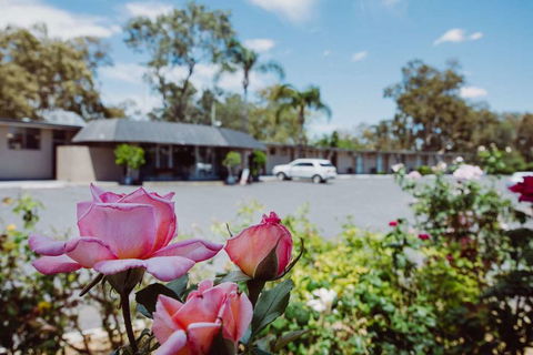 Artesian Spa Motor Inn - Holiday Sunshine Coast 2