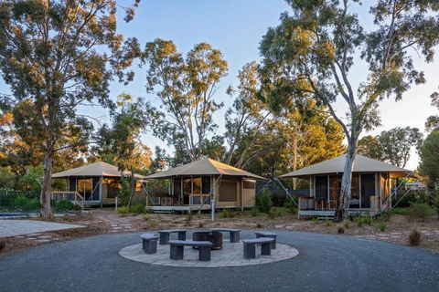 Discovery Parks Barossa Valley - Sunshine Coast Tourism 0
