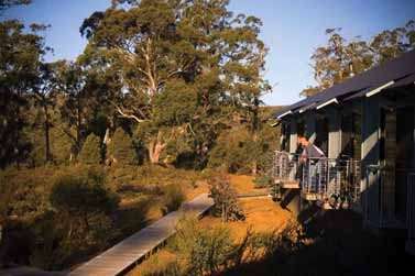 Cradle Mountain Wilderness Village - Sunshine Coast Tourism 2