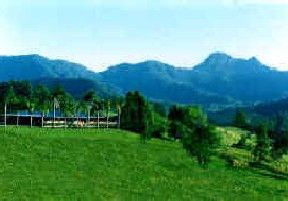 Hillcrest Mountain View Retreat - Sunshine Coast Tourism 2