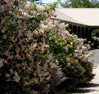 Wine Village Motor Inn - Holiday Sunshine Coast