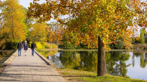 Crowne Plaza Canberra - Sunshine Coast Tourism 17